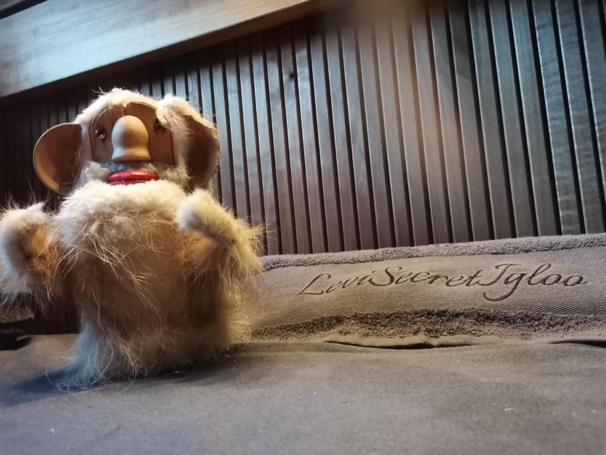 Levi Secret Igloo Revontuli Villa Sirkka Bagian luar foto